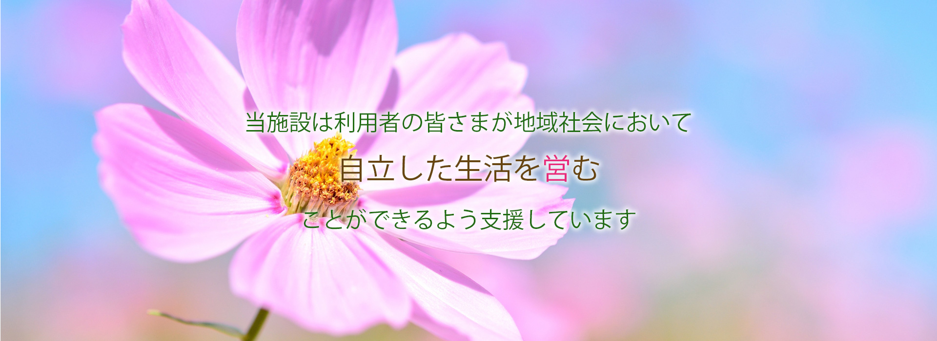 自立した生活を営むことができるよう支援しています